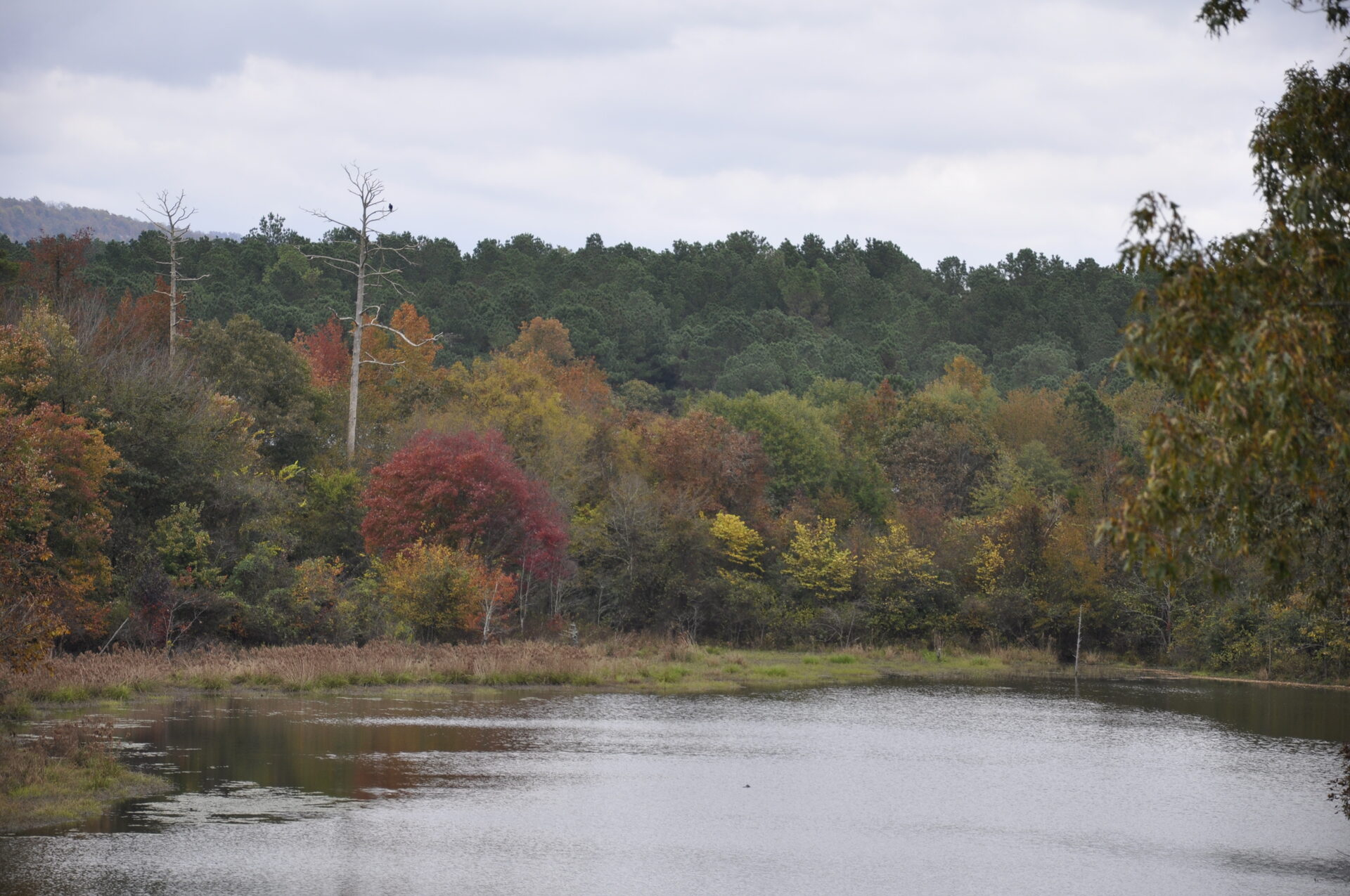 Fall color on the pond with ridge beyond